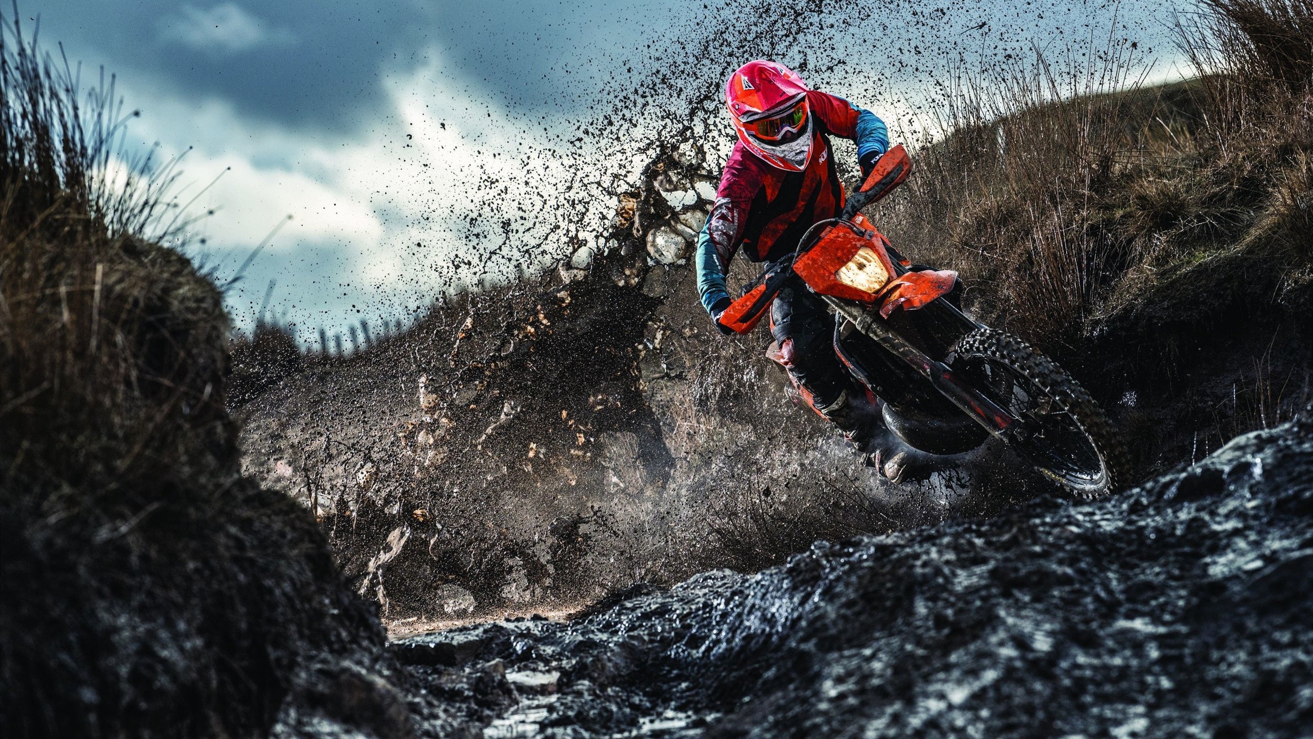 Karsa官方宣布表现优异新规，公牛引发争议！气势如虹延续